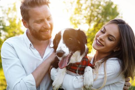 Amar a las mascotas habla de empatía, sensibilidad y vínculos profundos. Amar a las mascotas habla de empatía, sensibilidad y vínculos profundos.