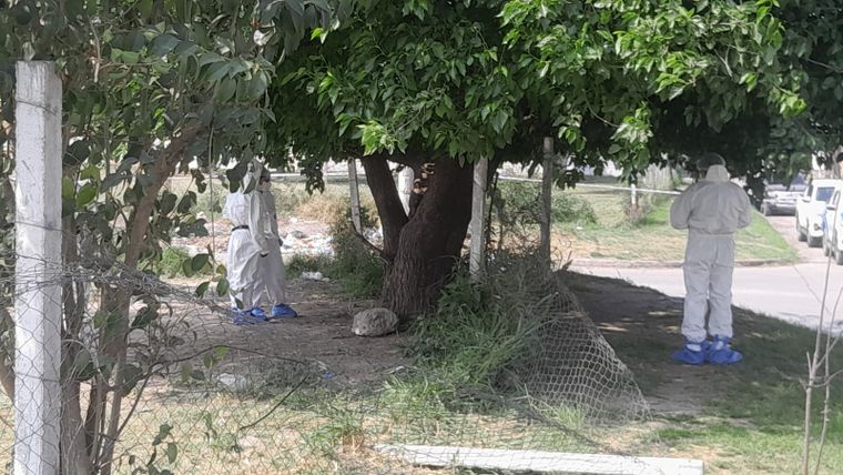 El hallazgo ocurrió en la esquina de Pellegrini y Lavaisse, San Miguel de Tucumán.