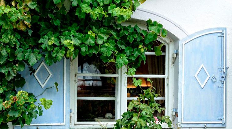 Una opción para decorar tus muros. Foto: menudojardin.com