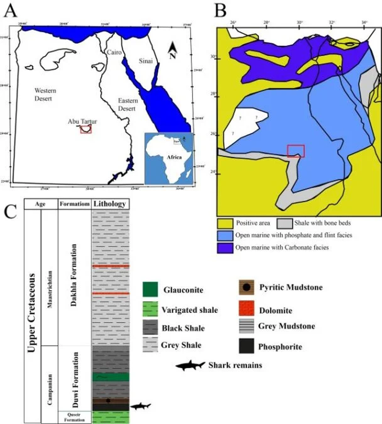 Los mares que cubrían lo que hoy es Egipto. Los mares que cubrían lo que hoy es Egipto. 