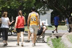 Foto: Alf Ponce / MDZ