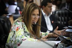 un exembajardor escracho a graciela camano, quien se defendio con dureza