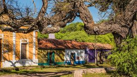 Ischilín conserva intactas las postales coloniales del Camino Real, entre aljibes, pulperías y un algarrobo de 400 años.