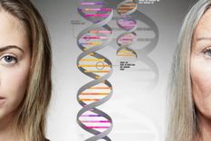 Investigadores de la Universidad Eötvös Loránd de Hungría han logrado establecer el vínculo entre los genes saltarines y el envejecimiento. Foto: GETTY IMAGES