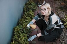 El gusano del durazno y la mosca son dos plagas muy frecuentes y dañinas. Foto: Foto de Floral creado por freepik - www.freepik.es