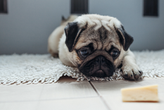 Sólo necesitas un pañuelo, camiseta o bufanda de tu hogar. Foto: Shutterstock