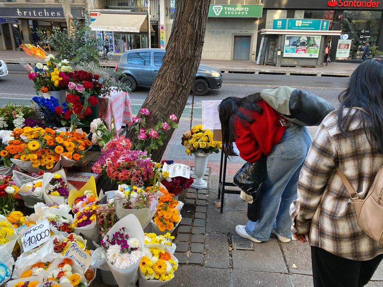 Vecinos firman para que vuelva el pato Juan Vecinos firman para que vuelva el pato Juan