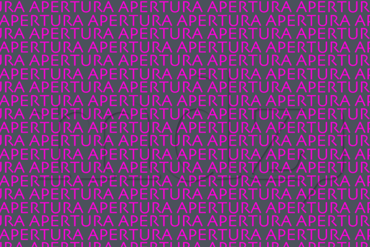 ENIGMA VISUAL ENIGMA VISUAL, RETO VISUAL, PALABRA Foto: MDZ ONLINE