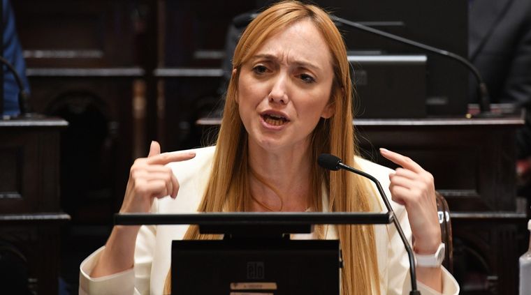 Anabel Fernández Sagasti Foto: Télam