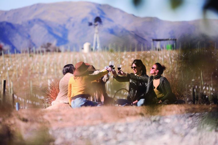 Ruta del vino en Córdoba Foto: archivo MDZ.
