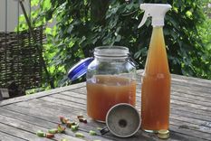 El agua de las lentejas aporta grandes nutrientes. Foto: Shutterstock