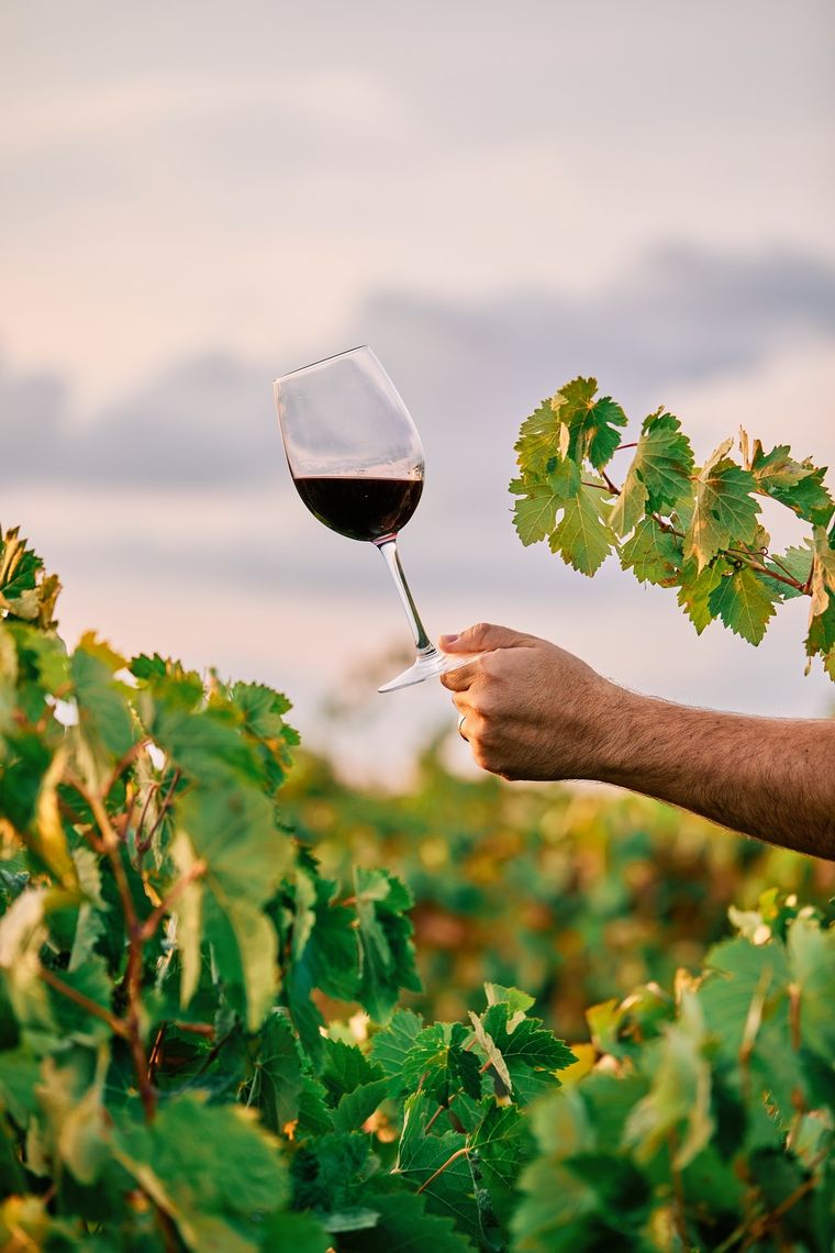 Ante un comercio mundial en vaivén el vino argentino precisa de una nueva gran estrategia para adaptarse a la época.