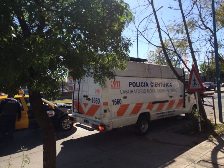 Foto: Gentileza