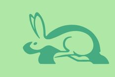 Test de personalidad