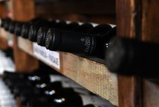 Foto: ALF PONCE MERCADO / MDZ Foto: ALF PONCE MERCADO / MDZ