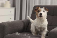 Estas son las posibles razones. Foto: Shutterstock