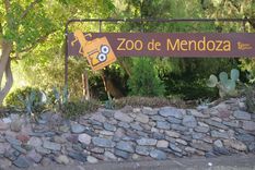 Foto: Pachy Reynoso/MDZ