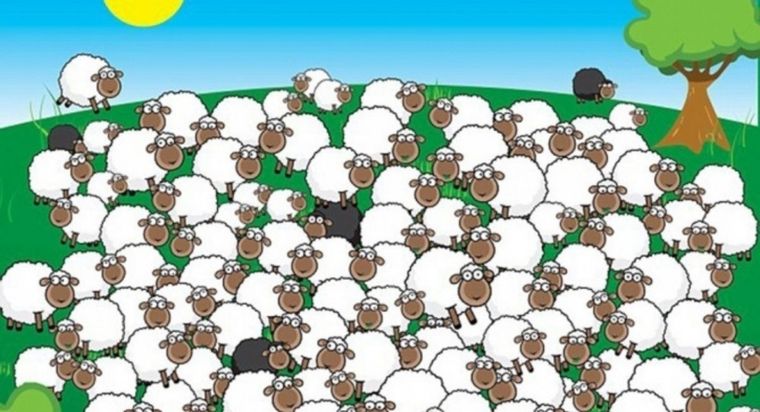 Acertijo visual, reto visual, animal