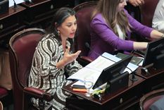 La senadora neuquina Lucía Crexell