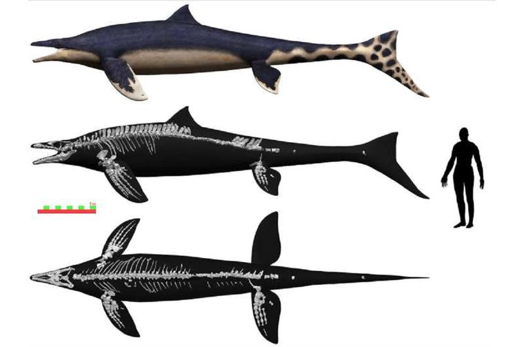 Foto: Foto: phys.org