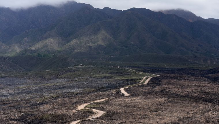 En agosto se podrá empezar con la restauración activa Foto: Walter Moreno/Mdz