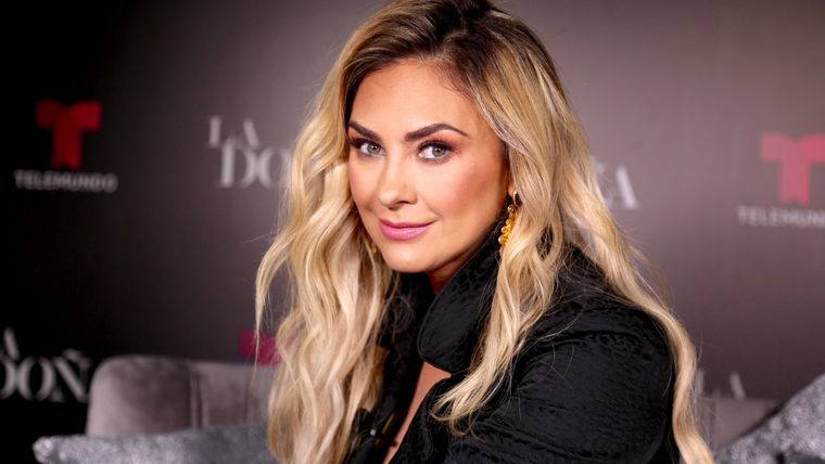 Aracely Arámbula conquistó con su nuevo recorte de cabello. Foto: Mezcalent