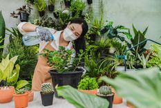 Cómo hacer un jardín vertical en simples pasos Te dejamos algunas recomendaciones para hacer un jardín vertical. Foto: Freepik
