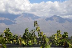 El domingo comenzará caluroso en Mendoza, pero terminará con tormentas fuertes y granizo. El domingo comenzará caluroso en Mendoza, pero terminará con tormentas fuertes y granizo.