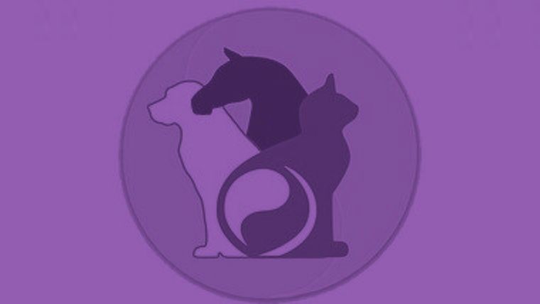 Test de personalidad