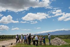 Se trata de la segunda visita que realizan los referentes del Institute of Masters of Wine (IMW), la anterior fue en 2018. Foto: WofA