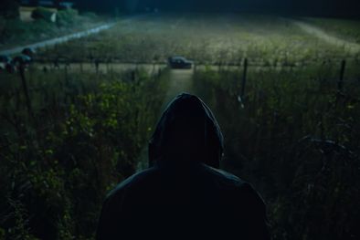 MDZol | netflix5