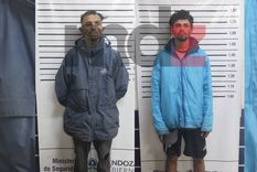 Los dos primos detenidos por robar lamparas de la iluminaria pública.