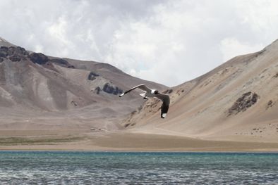 MDZol | Foto: Pachy Reynoso/MDZ