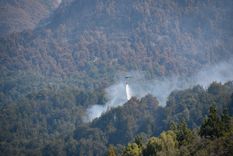 La lucha contra los incendios en el Parque Nacional Los Alerces cuenta con más de 200 personas.