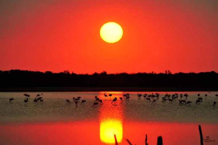 Los atardeceres en este pueblo son únicos. Los atardeceres en este pueblo son únicos.