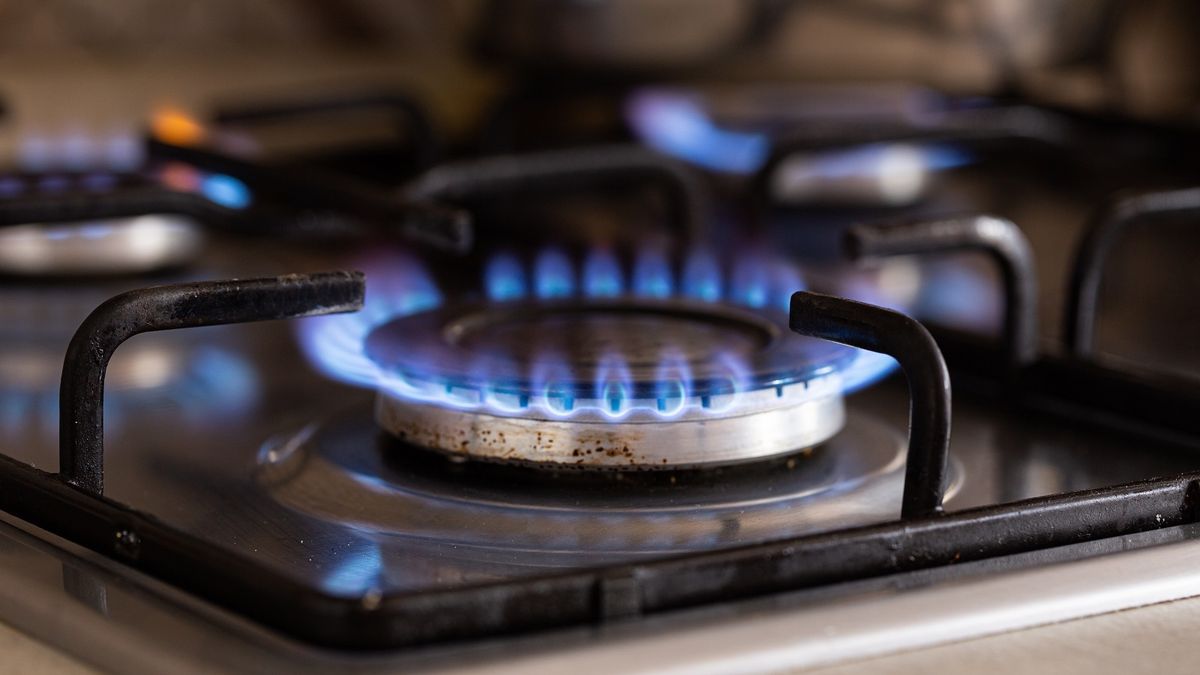 Subsidios de luz y gas: cómo hacer el trámite en abril y no pagar tarifa completa