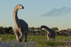 Los titanosaurios vivieron en distintas zonas del mundo, durante el Cretácico Foto: Conicet Los titanosaurios vivieron en distintas zonas del mundo, durante el Cretácico Foto: Conicet