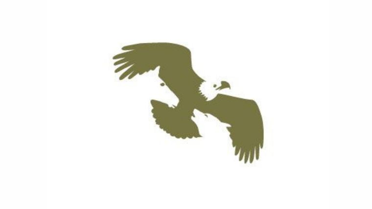 Test de personalidad Foto: Pinterest