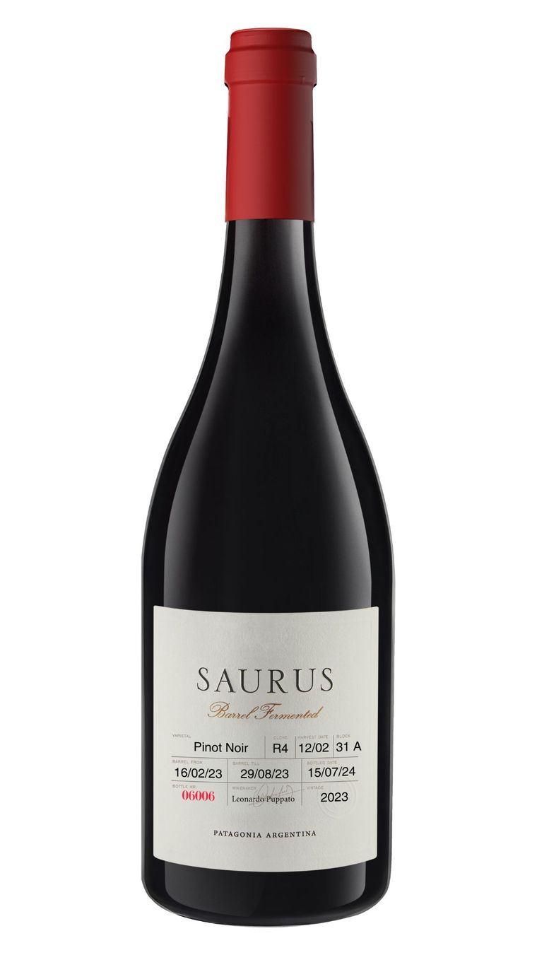 Saurus Barrel Fermented Saurus Barrel Fermented