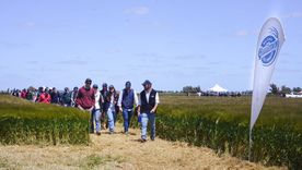 Cervecería y Maltería Quilmes reafirma su liderazgo en la investigación agrícola y la producción sustentable. Cervecería y Maltería Quilmes reafirma su liderazgo en la investigación agrícola y la producción sustentable.