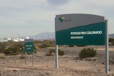 Foto: Liliana Hidalgo/MDZ