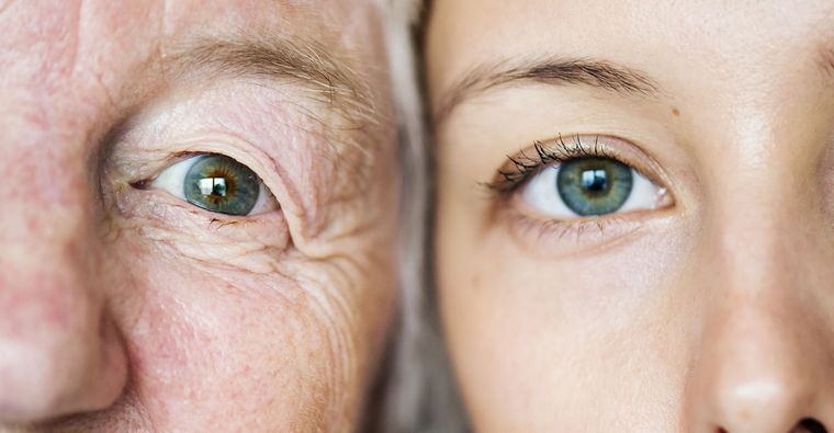 Genética - alimentación Foto: Freepik