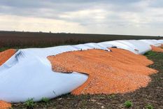 el sector agroindustrial, a favor del proyecto de massa