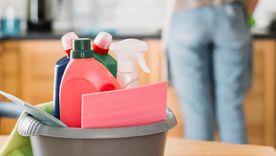 El salario de una empleada doméstica en febrero se rige por los valores mínimos establecidos a nivel nacional. El salario de una empleada doméstica en febrero se rige por los valores mínimos establecidos a nivel nacional.