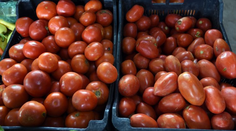 Foto: ALF PONCE MERCADO / MDZ