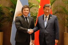 El presidente Javier Milei durante su encuentro con el mandatario de China, Xi Jinping, durante el G20 de Brasil 2024. Foto: Foto: Presidencia