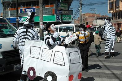 MDZol | Las cebras en acción.