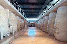La bodega decidió apostar por la construcción de un nuevo edificio para sus vinos naturales.&nbsp;