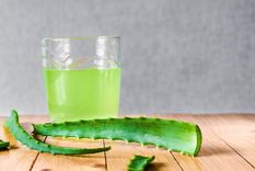 Aloe vera, una planta transformada en infusión, la cual está de moda. Conocé sus beneficios Foto: Shuterstock