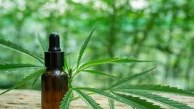 Te contamos lo que tenés que saber sobre el registro del programa Cannabis (Reprocann). Foto: Freepik